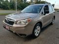 Burnished Bronze Metallic - Forester 2.5i Photo No. 3