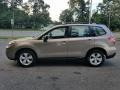 Burnished Bronze Metallic - Forester 2.5i Photo No. 4
