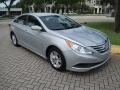 Radiant Silver - Sonata GLS Photo No. 1