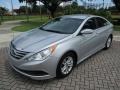 Radiant Silver - Sonata GLS Photo No. 11