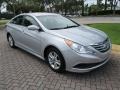 Radiant Silver - Sonata GLS Photo No. 27