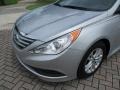 Radiant Silver - Sonata GLS Photo No. 29