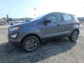 Smoke - EcoSport S 4WD Photo No. 7