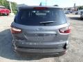 Smoke - EcoSport SES 4WD Photo No. 3