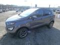 Smoke - EcoSport SES 4WD Photo No. 8