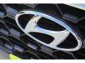 2019 Machine Gray Hyundai Santa Fe SEL Plus  photo #4