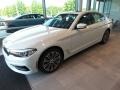 2019 Alpine White BMW 5 Series 530i xDrive Sedan  photo #3