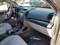 Titanium Silver - Sorento LX V6 AWD Photo No. 11