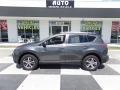 Magnetic Gray Metallic - RAV4 XLE Photo No. 1