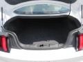 2019 Ford Mustang EcoBoost Premium Fastback Trunk
