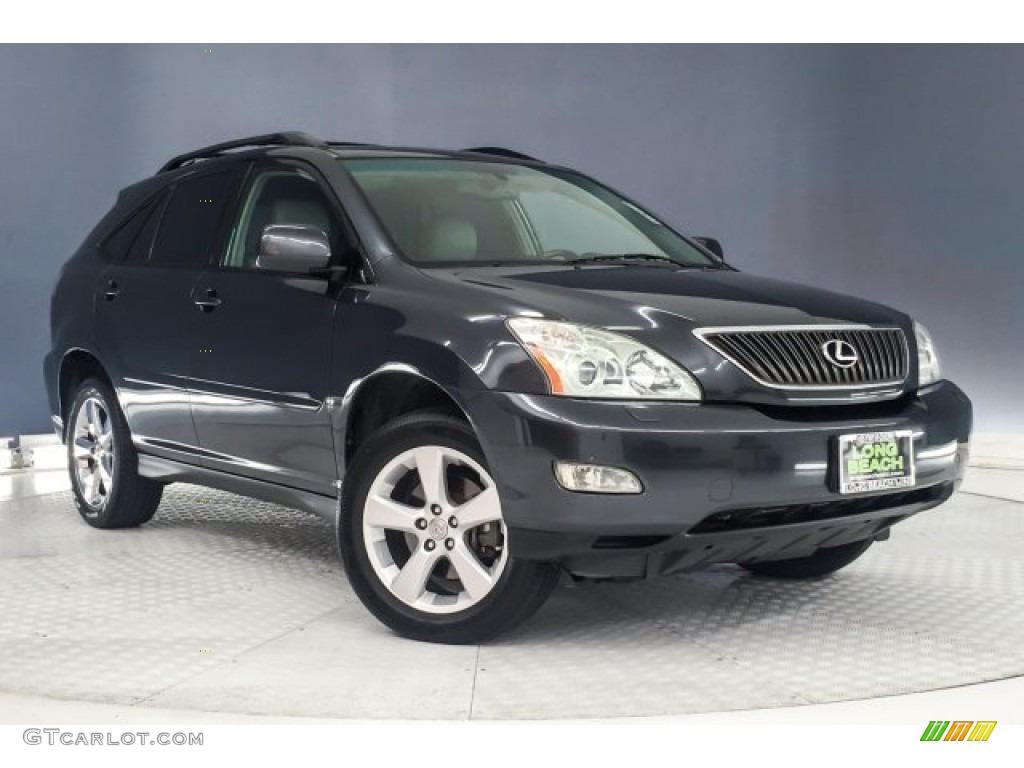2007 RX 350 - Flint Gray Mica / Light Gray photo #13