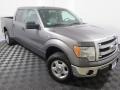 Sterling Grey - F150 XLT SuperCrew 4x4 Photo No. 2