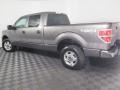 Sterling Grey - F150 XLT SuperCrew 4x4 Photo No. 6