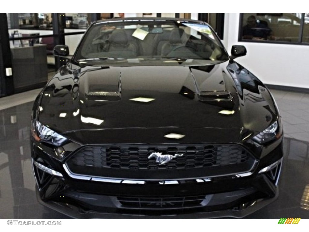 2019 Mustang EcoBoost Premium Convertible - Shadow Black / Ebony photo #2