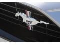  2019 Mustang California Special Fastback Logo