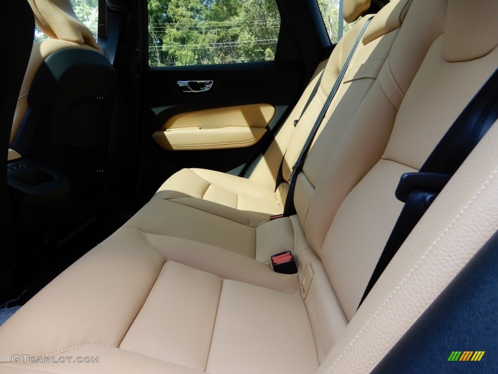 Amber Interior 2019 Volvo XC60 T6 AWD Momentum Photo #129252003