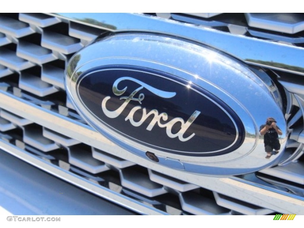 2018 Ford Expedition Platinum Max Marks and Logos Photos