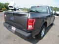 2016 Lithium Gray Ford F150 XL Regular Cab  photo #5