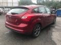 Ruby Red - Focus SE Hatchback Photo No. 6