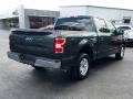 Shadow Black - F150 XLT SuperCrew Photo No. 7