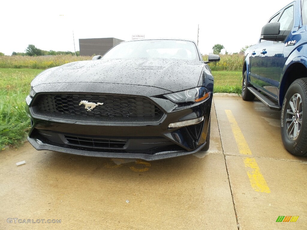 2019 Mustang EcoBoost Premium Fastback - Shadow Black / Ebony photo #1