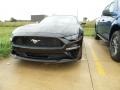 2019 Shadow Black Ford Mustang EcoBoost Premium Fastback  photo #1