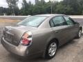 Velvet Beige - Altima 2.5 S Photo No. 5