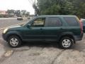 2003 Clover Green Pearl Honda CR-V EX 4WD  photo #3