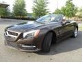 Dolomite Brown Metallic - SL 550 Roadster Photo No. 6