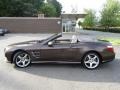 Dolomite Brown Metallic - SL 550 Roadster Photo No. 7