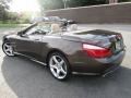 Dolomite Brown Metallic - SL 550 Roadster Photo No. 8