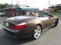 Dolomite Brown Metallic - SL 550 Roadster Photo No. 10