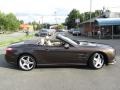 Dolomite Brown Metallic - SL 550 Roadster Photo No. 11