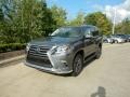 Nebula Gray Pearl 2018 Lexus GX 460 Luxury