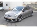 Limestone Gray Metallic - Golf R 4Motion Photo No. 2