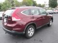 Basque Red Pearl II - CR-V LX 4WD Photo No. 6