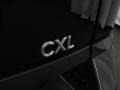 2005 Black Onyx Buick Rendezvous CXL  photo #23