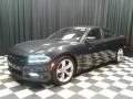 Maximum Steel Metallic - Charger R/T Photo No. 2