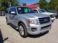Ingot Silver - Expedition EL Limited 4x4 Photo No. 2