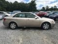 2006 Champagne Beige Hyundai Elantra GLS Sedan  photo #6