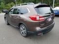Cinnamon Brown Pearl - Ascent Touring Photo No. 4