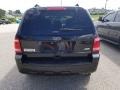 2012 Ebony Black Ford Escape XLT V6  photo #5