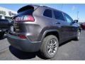 Granite Crystal Metallic - Cherokee Latitude Plus Photo No. 11