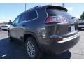 Granite Crystal Metallic - Cherokee Latitude Plus Photo No. 13