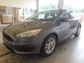 Magnetic - Focus SE Sedan Photo No. 4