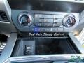 White Platinum Metallic Tri-Coat - F450 Super Duty Platinum Crew Cab 4x4 Photo No. 22