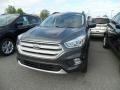 Magnetic 2018 Ford Escape SEL