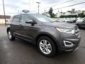 Magnetic Metallic - Edge SEL AWD Photo No. 3