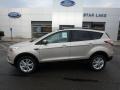White Gold - Escape SE 4WD Photo No. 1