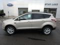 White Gold - Escape SE 4WD Photo No. 9